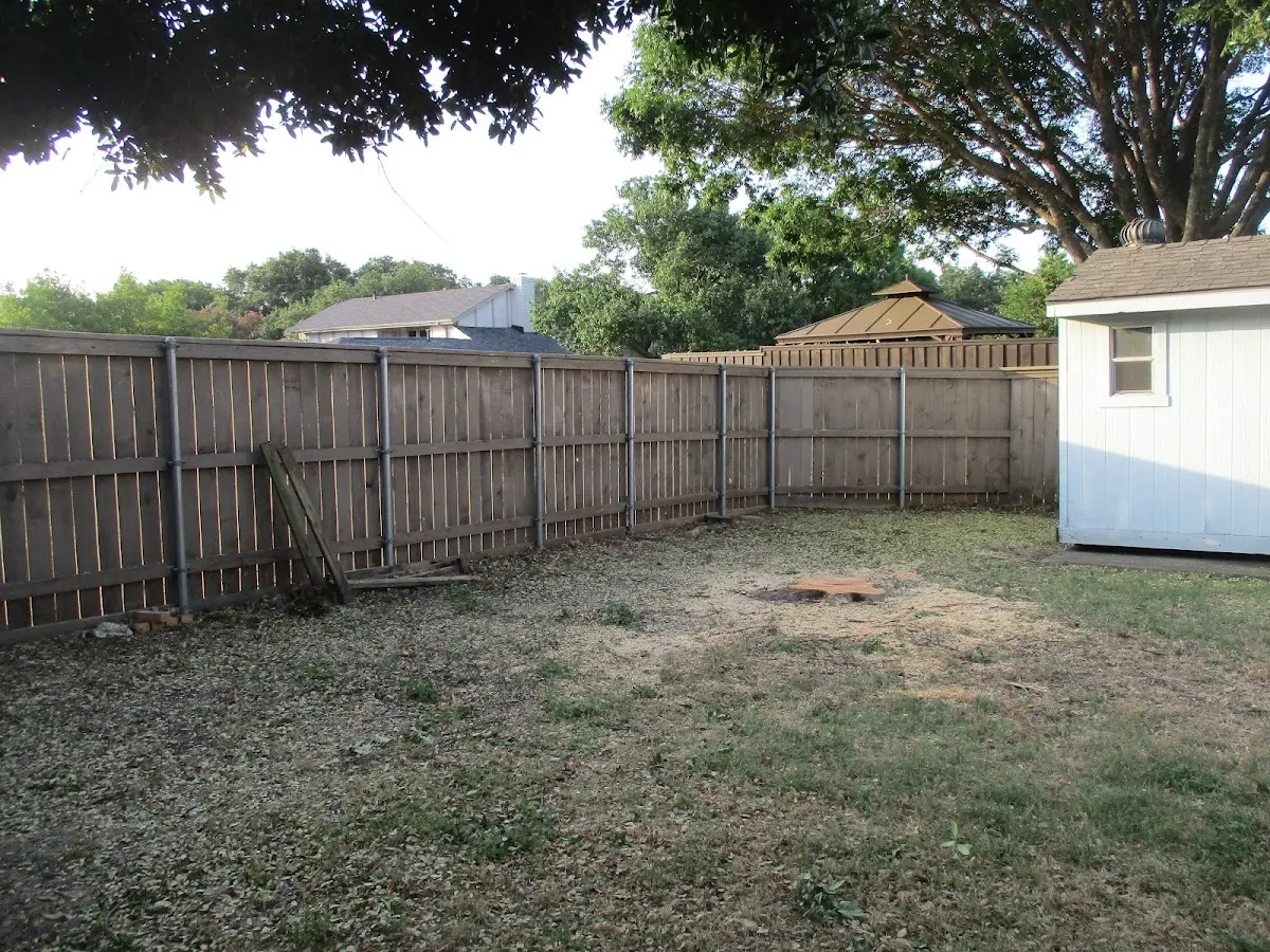 Cleared yard after professional tree removal in Princeton